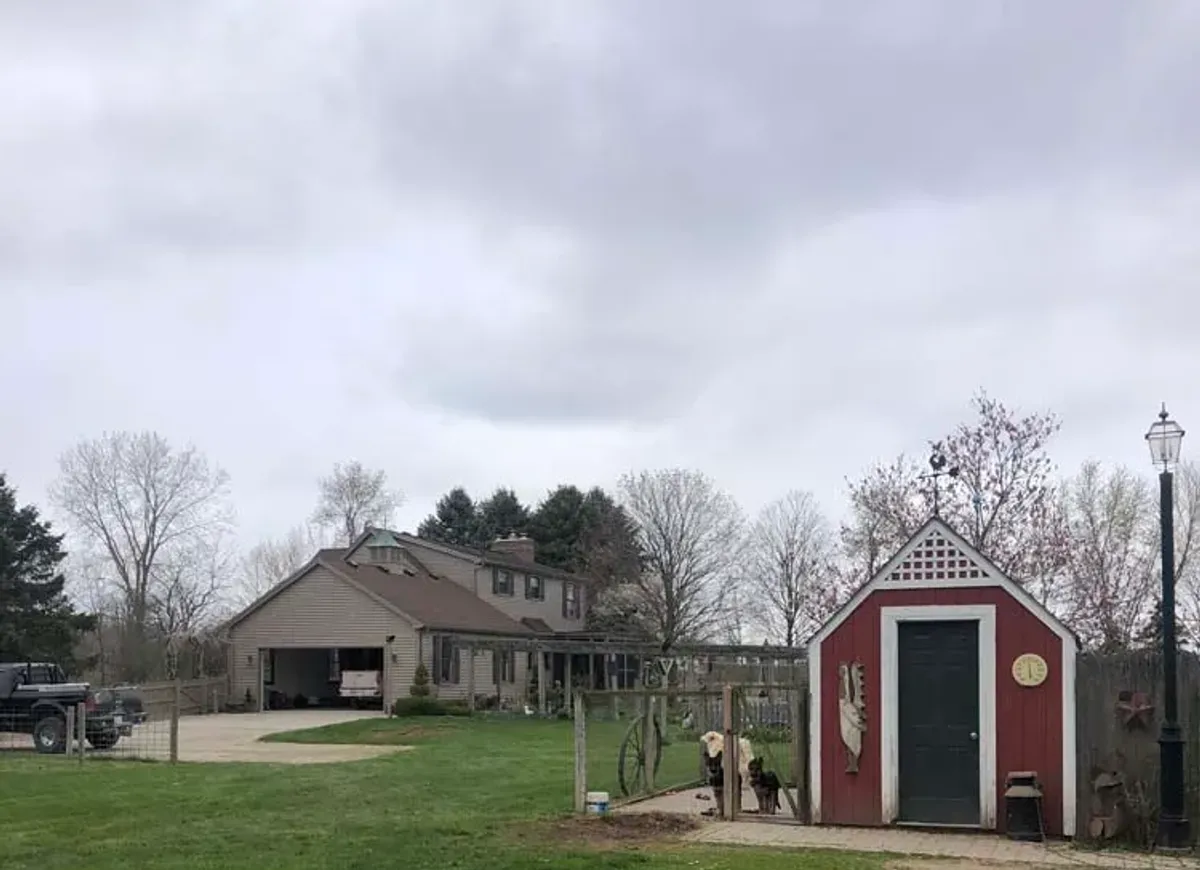 Open backyard lawn and shed after tree removal