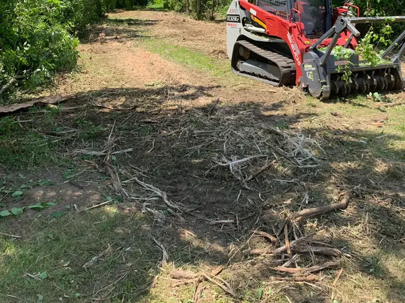 Tracked forestry mulcher clearing brush along an overgrown trail