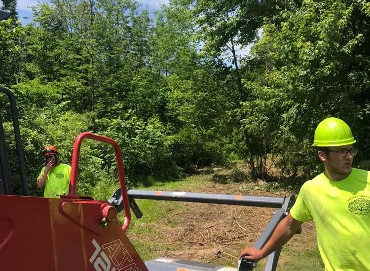Crew member running a forestry mulcher for brush hogging