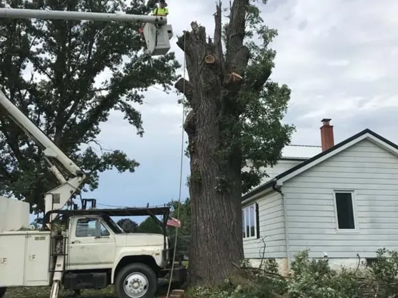 Bucket truck removing a large tree trunk next to a house