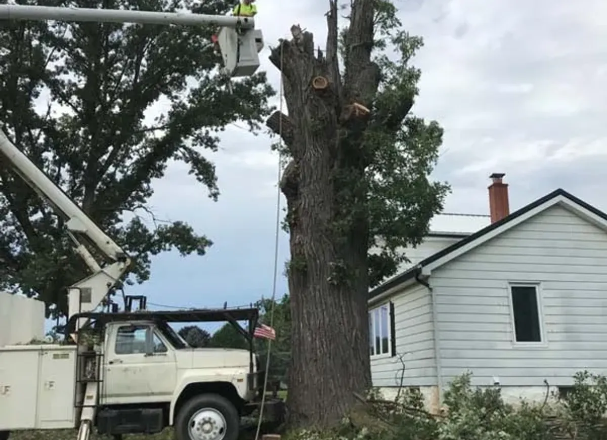 Bucket truck removing a large tree trunk next to a house
