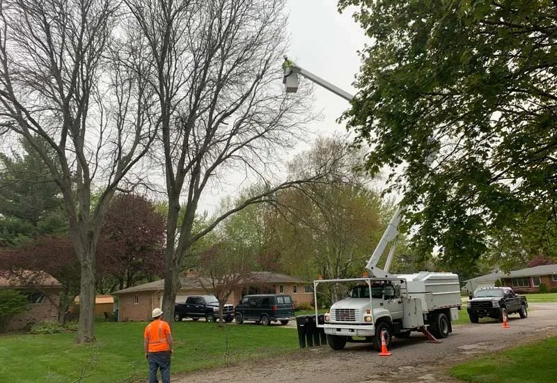 Bucket truck and crew trimming trees on a residential street