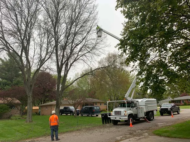 Bucket truck and crew trimming trees on a residential street
