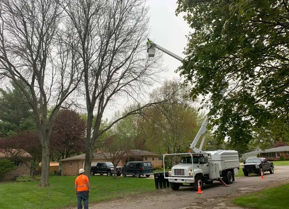 Bucket truck and crew trimming trees on a residential street