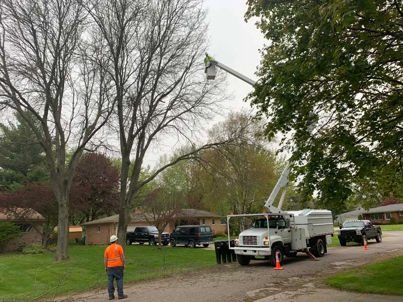 Bucket truck and crew trimming trees on a residential street