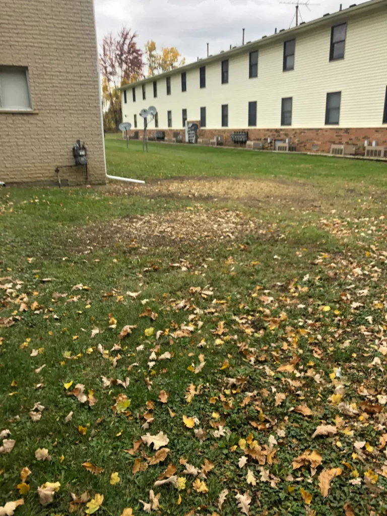 Apartment complex lawn after commercial tree removal