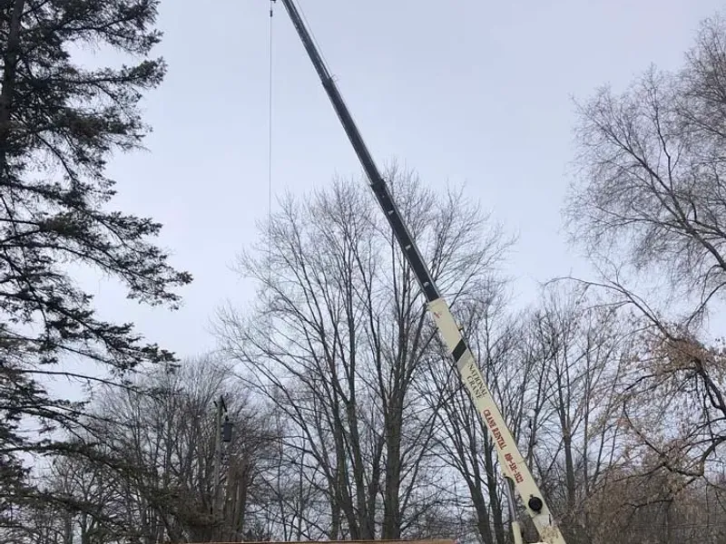 Crane lifting tree sections out of a backyard
