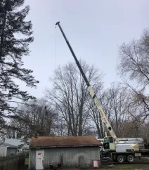 Crane lifting tree sections out of a backyard