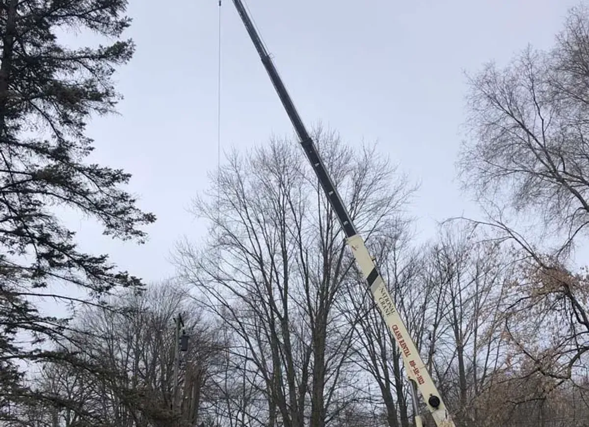 Crane lifting tree sections out of a backyard