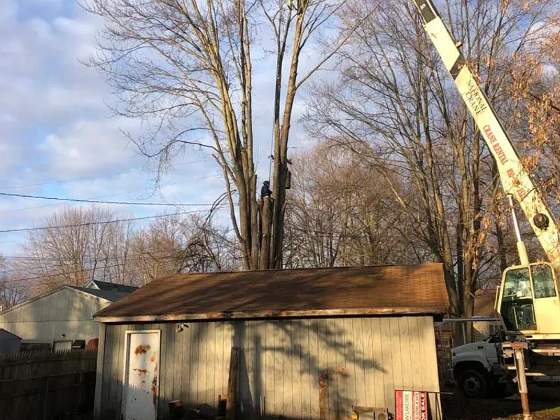 Crane assisted tree removal over a backyard garage