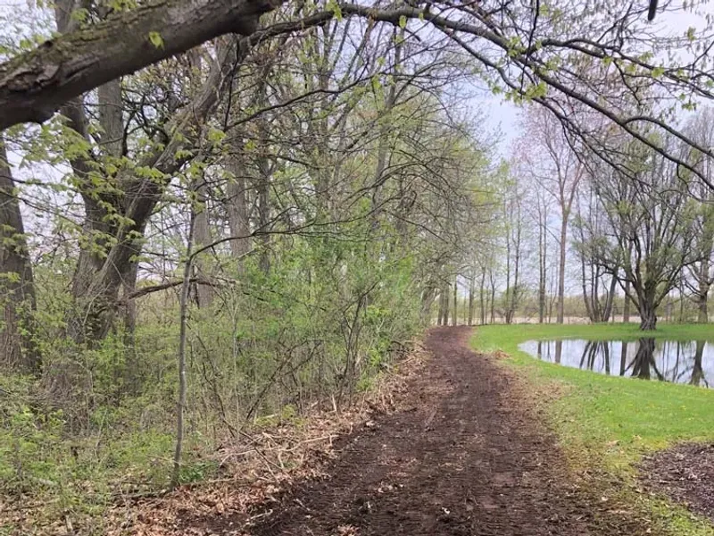 Freshly cleared trail cut through woods during land clearing