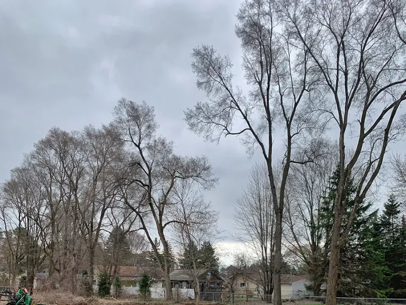 Residential lot cleared of trees and brush ready for construction