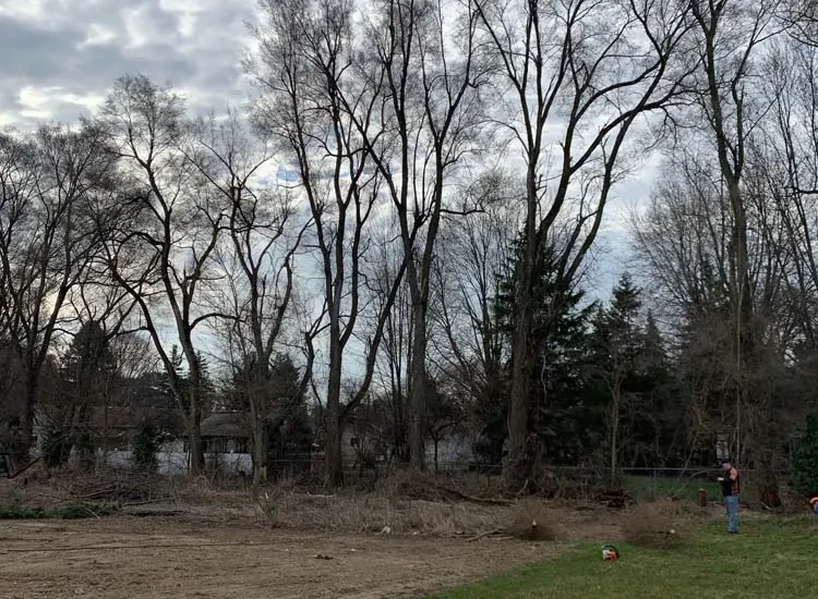 Residential lot cleared of trees with bare soil ready for grading