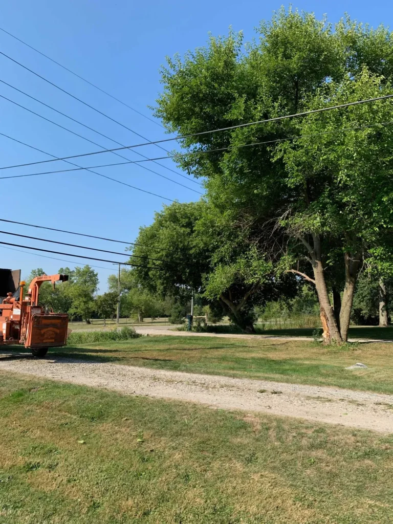Chip truck parked beside roadside trees during tree trimming