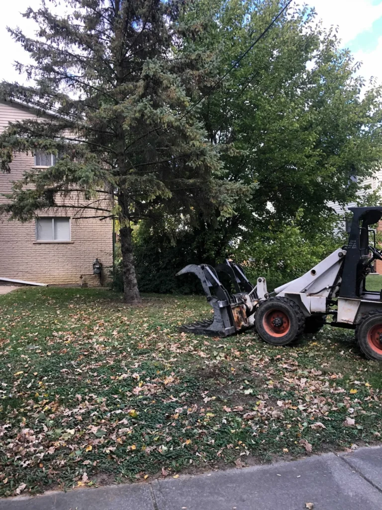 Skid steer cleaning up yard debris after tree work