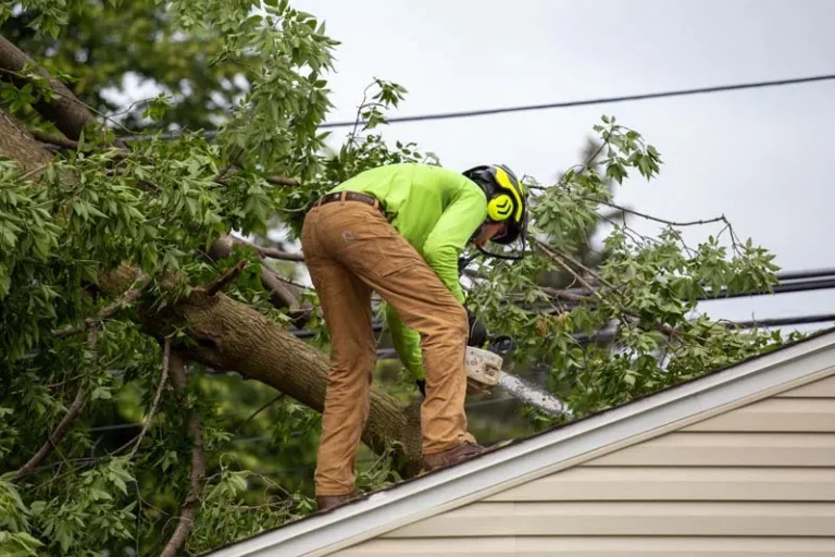 Crew member with a chainsaw cutting a storm downed limb on a roof