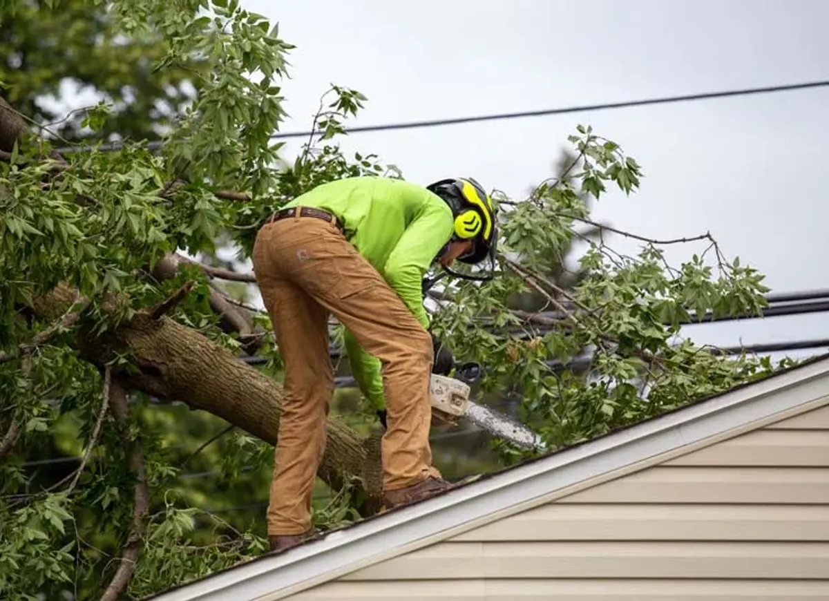 Crew member with a chainsaw cutting a storm downed limb on a roof