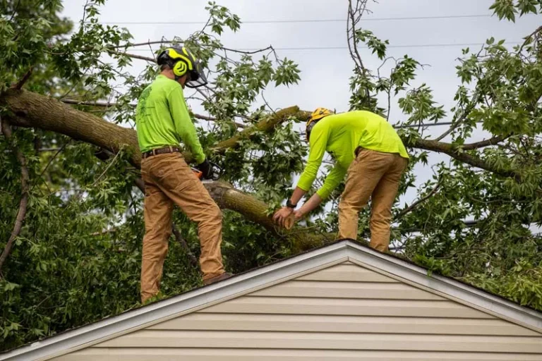 Two crew members removing a fallen tree from a house roof after a storm
