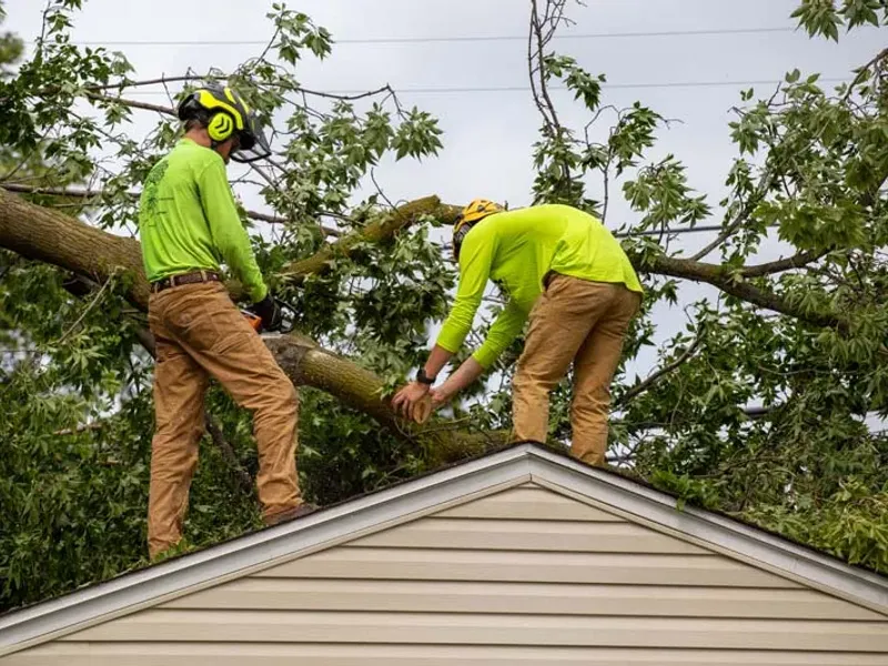 Two crew members removing a fallen tree from a house roof after a storm