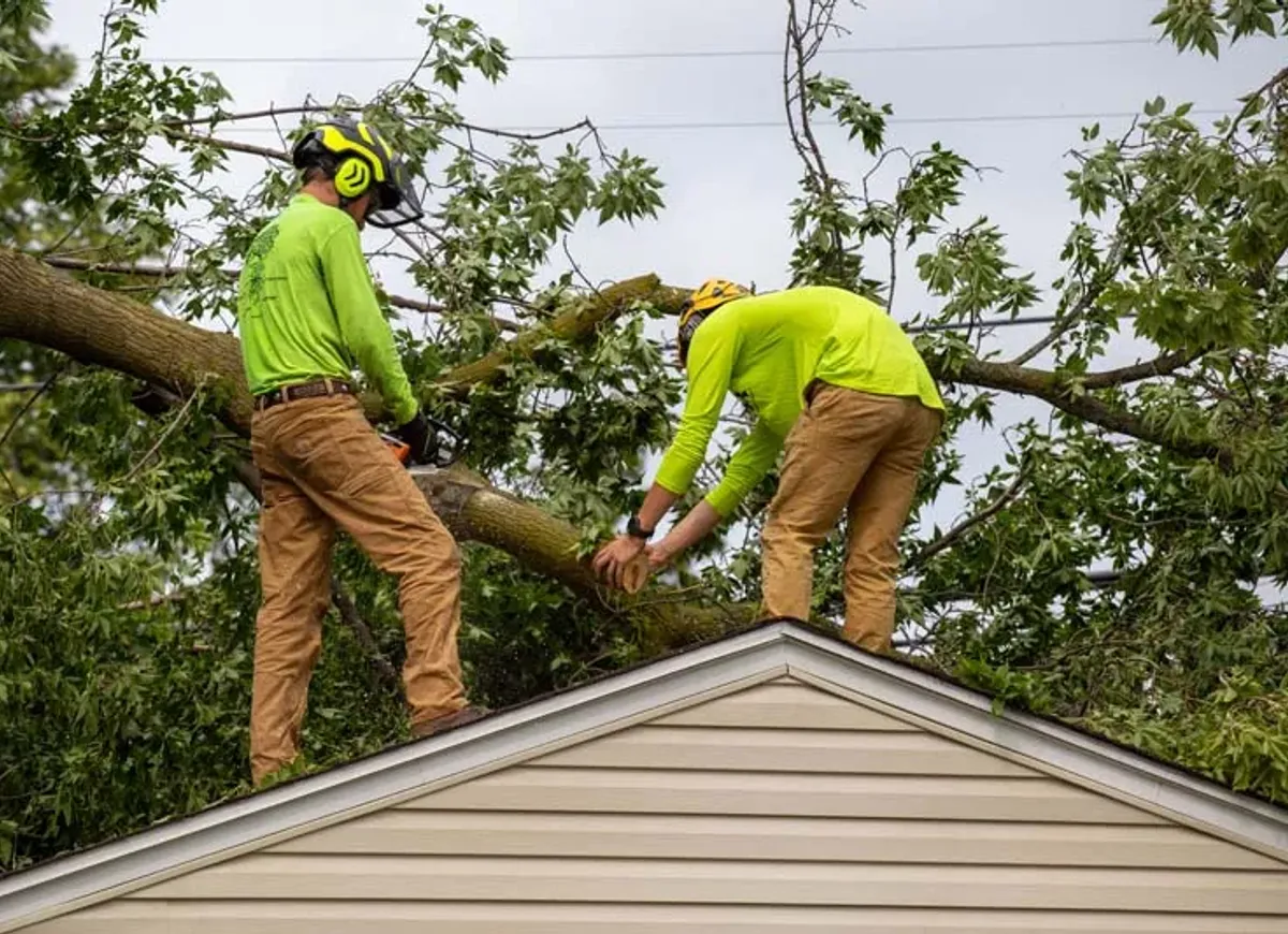 Two crew members removing a fallen tree from a house roof after a storm