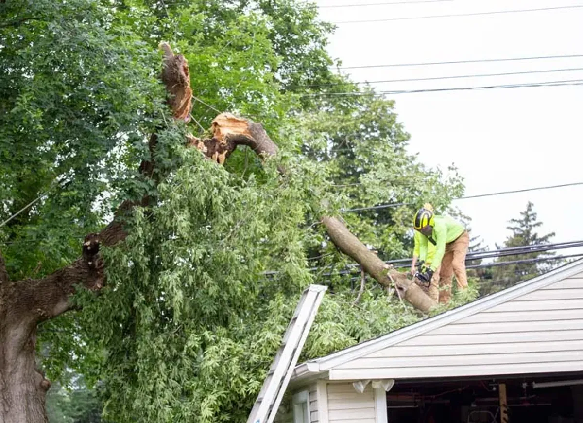 Large storm damaged tree limb resting on a house roof near power lines