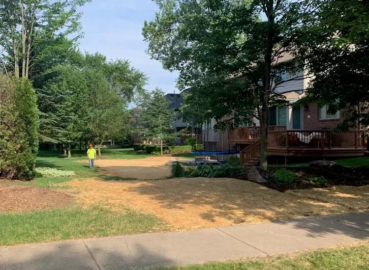 Front yard after stump grinding with fresh soil and mulch