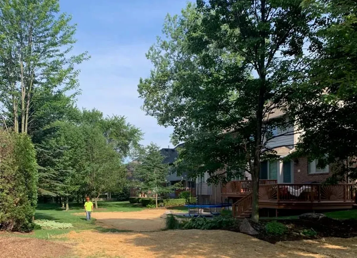 Front yard after stump grinding with fresh soil and mulch