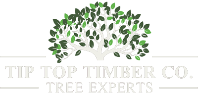 Tip Top Timber Co. Tree Experts logo
