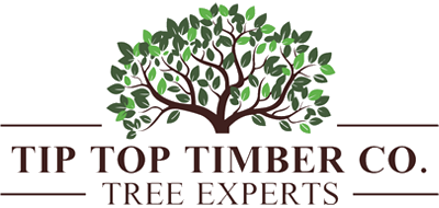 Tip Top Timber Co.